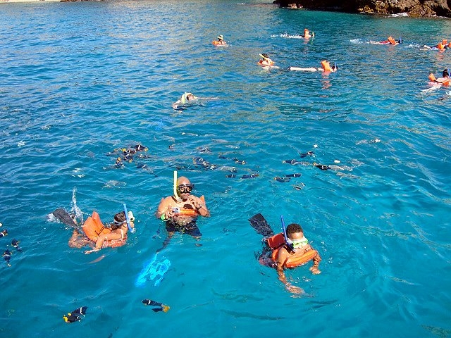 Explorar en snorkel